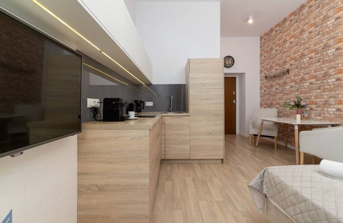 Stradom Apartment | Dietla 66/3 | Wifi, Pet-friendly, Studio