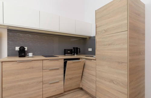 Stradom Apartment | Dietla 66/3 | Wifi, Pet-friendly, Studio