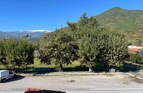 Almopia Apartment | Dimitra 's house