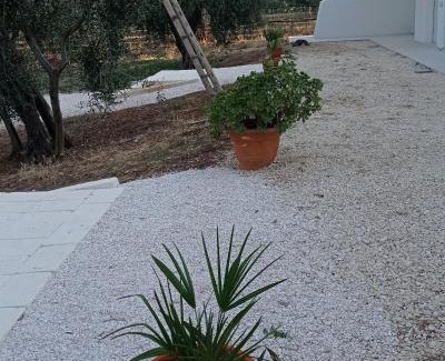 Mattinata Apartment | Dimora Basso