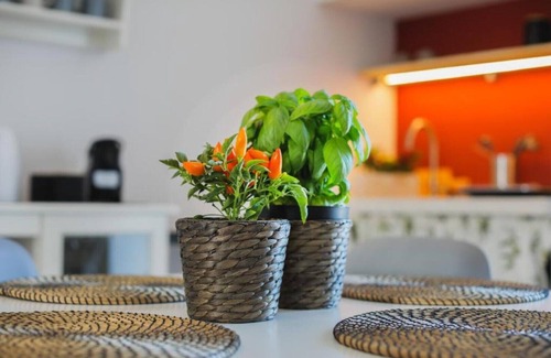 Pezze di Greco House | Dimora D'Erchia Apulian Holidays