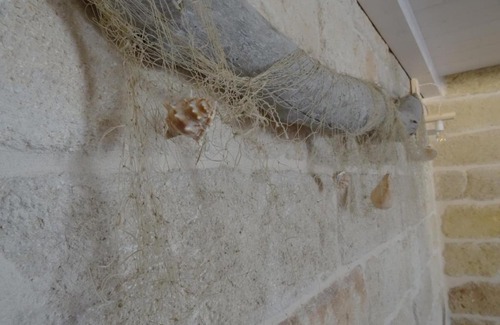 Polignano a Mare House | Dimora Petra