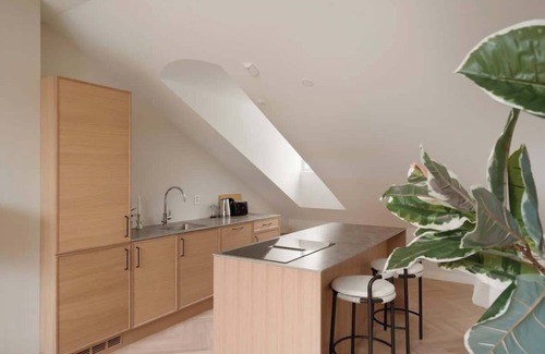 Grunerlokka Apartment | Dinbnb Apartments Grunerlokka Penthouse Dream