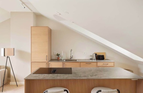 Grunerlokka Apartment | Dinbnb Apartments Grunerlokka Penthouse Dream