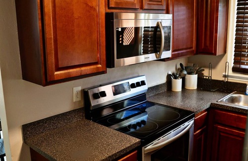Norfolk House | Dive into your Spacious Oasis Retreat near Downtown Norfolk