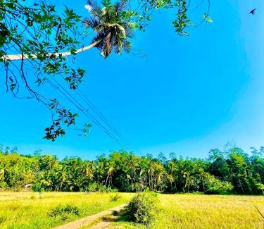 Padinnoruwa Villa | DK Paddy Field Villa in Unawatuna