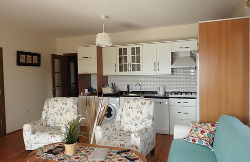 Elmalik Ski Chalet | Doğayla Baş Başa Kalacağınız Modern Bir Dağ Evi