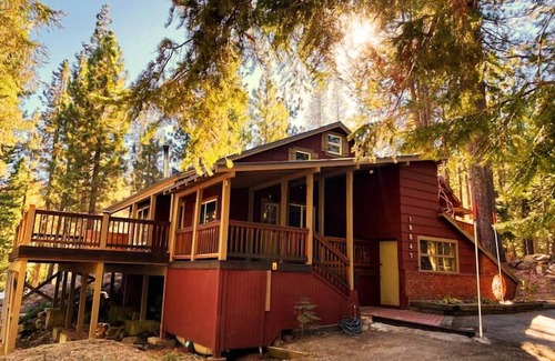 Donner Lake Woods Cabin | Dog Friendly Cabin | 3 Minute Walk to Donner Lake | Close to Hiking & Biking