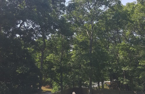 Cotuit Apartment | Dog friendly, Clean Studio with Separate Entrance 2.4 miles to Beach
