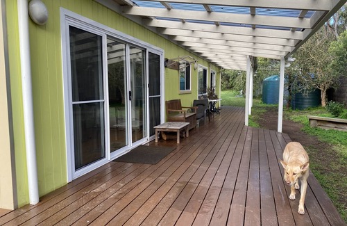 Sandy Point House | Dog friendly close to beach/shops, trampoline, hot outside shower, NBN Wifi