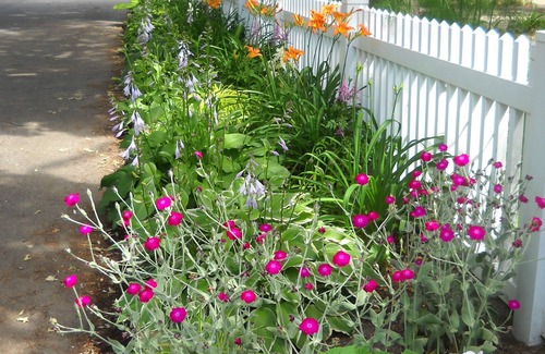 Villas Apartment | Dog Friendly, Cozy Cottage, 1st Floor Apt for 2; A Fine Art and Garden Retreat!