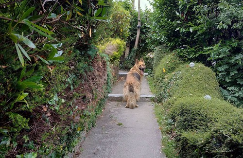West Looe House | Dog friendly detached Nancecliff Cottage-enclosed garden & ocean view-Cornwall