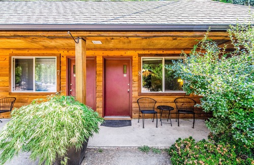 Quilcene Apartment | Dog-friendly hiker's studio with mountain views & fast WiFi - close to hiking