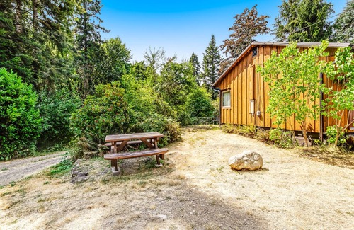 Quilcene Apartment | Dog-friendly hiker's studio with mountain views & fast WiFi - close to hiking