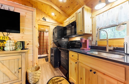 Otto Cabin | Dog-friendly riverfront cabin with mtn & river views, firepit, grill, patio, W/D