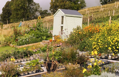 Pitlochry Cabin | Dog friendly Shepards hut with stunnng views - perfect Scottish getaway