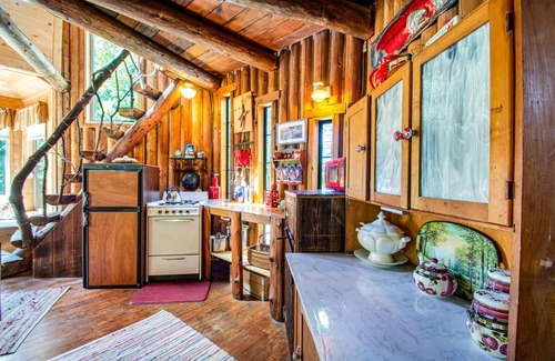 Sequim Cabin | Dog-friendly, solar-powered cabin on 5 acres with woodstove, firepit & deck