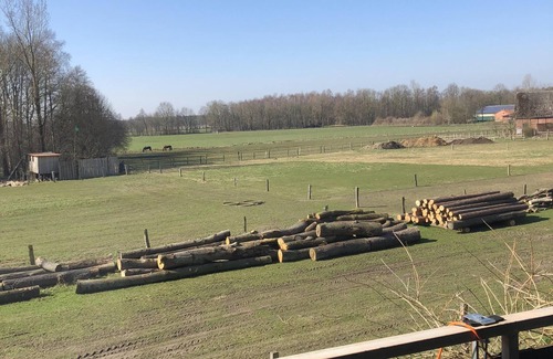 Jameln Apartment | Dog-friendly vacation apartment with panoramic views of the beautiful Wendland region