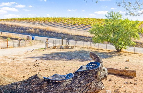 Paso Robles House | Dog-friendly wine country getaway with vineyard views and private hot tub