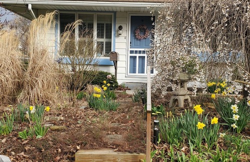 Mechanicsburg House | Dog/kid friendly house with fenced-in yard minutes from major attractions
