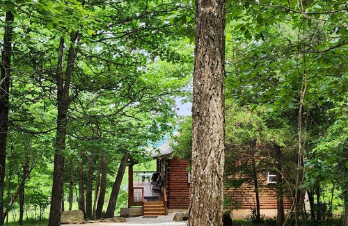 Jasper Cabin | Dogwood Cabin, Deer Lodge Cabin Rentals is a Secluded Ozark Mountain Log Cabin