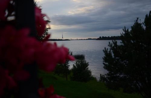 Plavniekkalns Other | Doles skati, kubls - iekļauts cenā