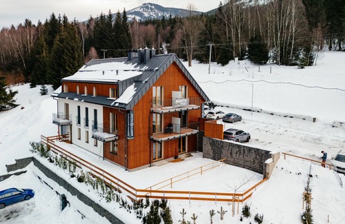 Dolni Morava Apartment | Dolní Morava by Interhome