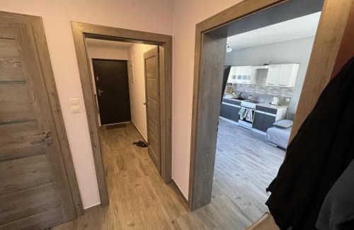 Radzymin House | Dom na skraju lasu