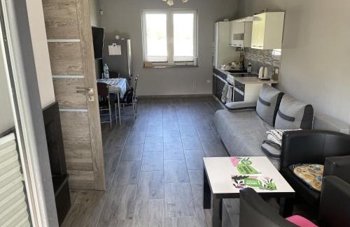 Radzymin House | Dom na skraju lasu