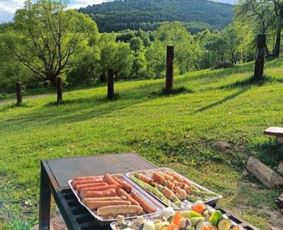 Nasiczne Villa | Dom na skraju parku