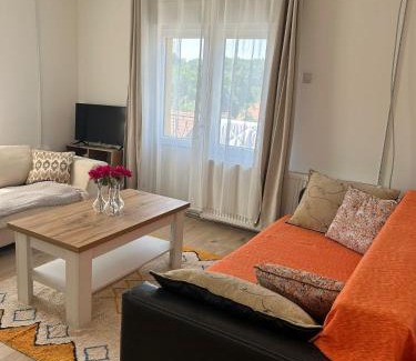 Mladenovac Apartment | Domaćinstvo Šeširče