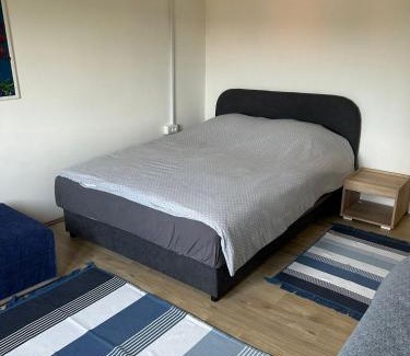 Mladenovac Apartment | Domaćinstvo Šeširče