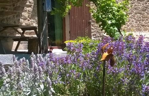 Castellet-les-Sausses Cottage | Domaine du Fâ: "l'école" self-catering cottage with panoramic view