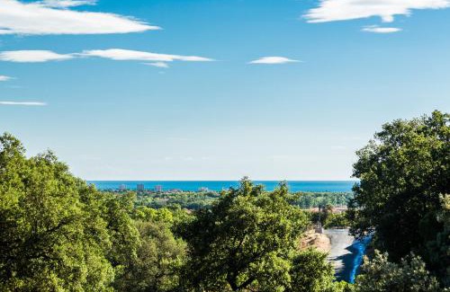Plage d'Argeles Apartment | Domaine Des Mimosas