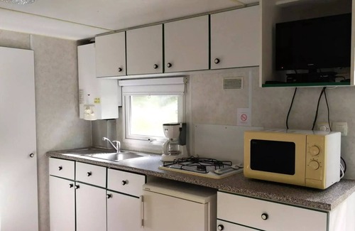 Prayssas House | Domaine du Lac de Neguenou * - Mobil-home ECO - 2 bedrooms - 34m2 terrace including 4 people