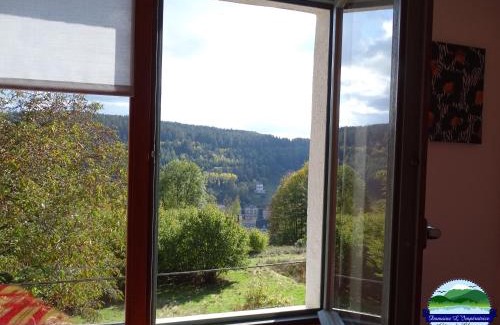 Plombieres-les-Bains Apartment | Domaine L'Impératrice