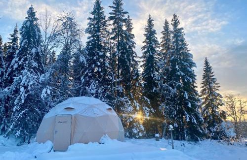 Lillehammer Other | Dome Glamping with shared bathroom