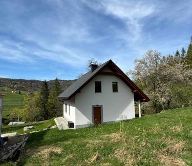 Wisla House | Domek na Skarpie
