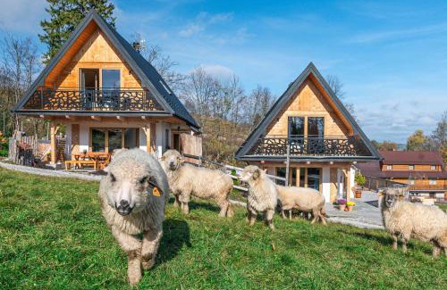 Witow House | Domek pod Jaworem z balią