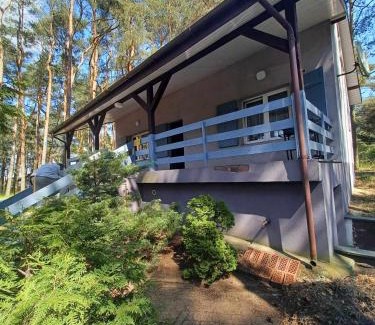 gmina Piotrkow Kujawski House | Domek pod Sosnami nad jeziorem Głuszyńskim