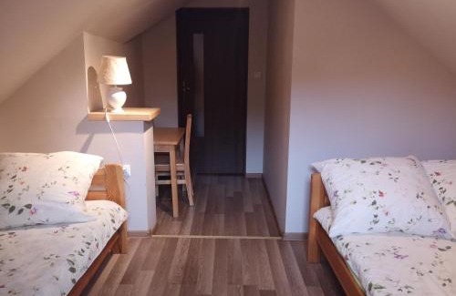 Kroscienko nad Dunajcem House | Domek u Basi