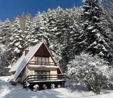 Piwniczna-Zdroj Ski Chalet | Domek u Pawła