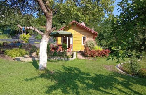 Bobrka House | Domek w bieszczadzkim sadzie Solina