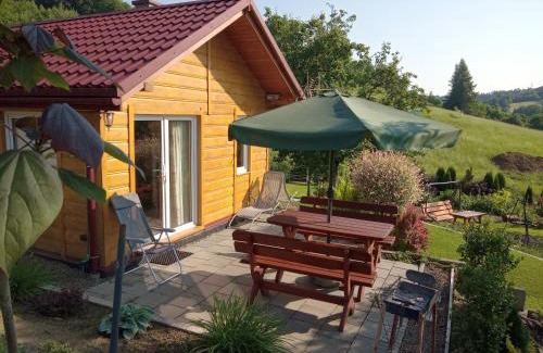 Bobrka House | Domek w bieszczadzkim sadzie Solina