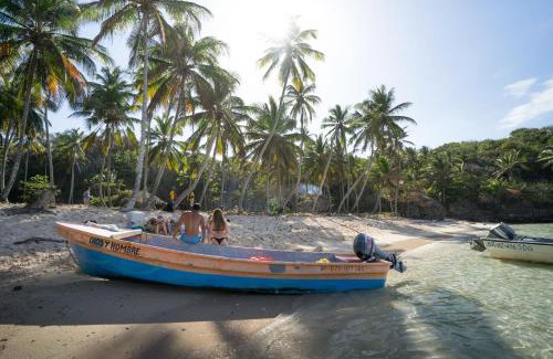 Samana Resort | Dominican Tree House Village