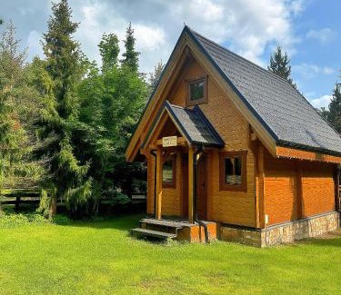 Łopuszna Ski Chalet | DOMKI JANOSIK - Janosik 2 Komfort