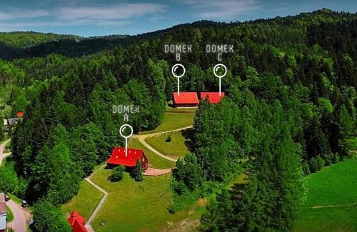 Wierchomla Mała House | Domki na Górce