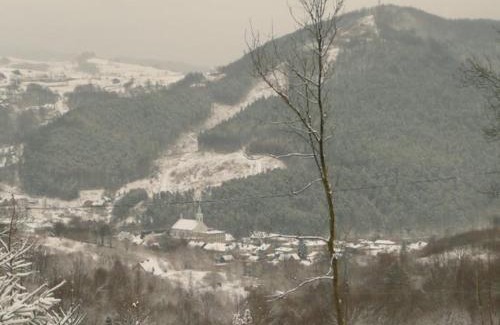 Piwniczna-Zdroj House | Domki na Polach Piwniczna-Zdrój