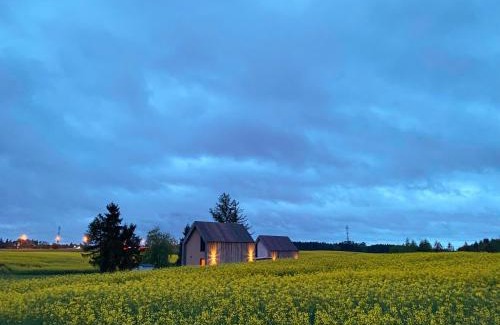 Koscierzyna House | Domki Widok Na Staw