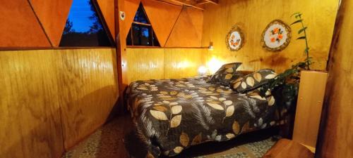 Conaripe Apartment | Domo Vive Pellaifa